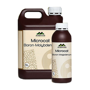 کود میکروکت بر مولیبدن آتلانتیکا