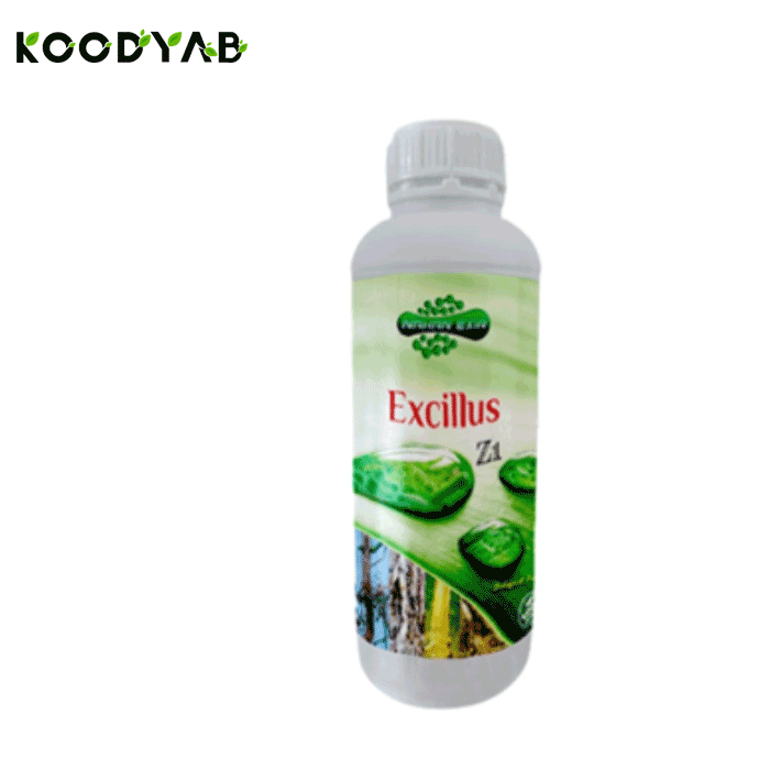 کود اکسیلوس نهان اکسیر