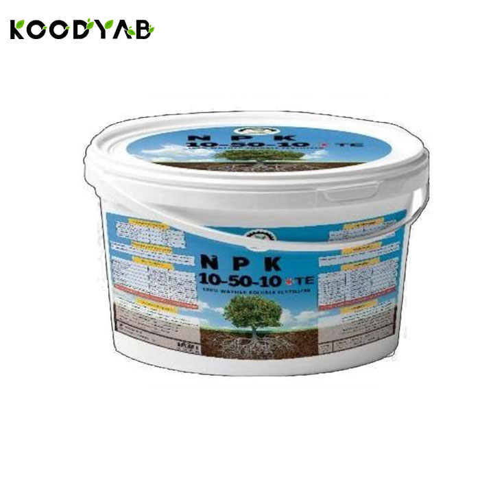 کود 10 50 10 بیهق رشد