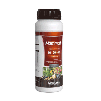 کود ماموت مونتانا