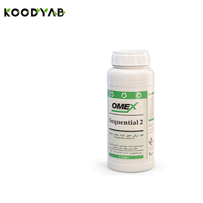 کود سکوئنشیال 2 امکس