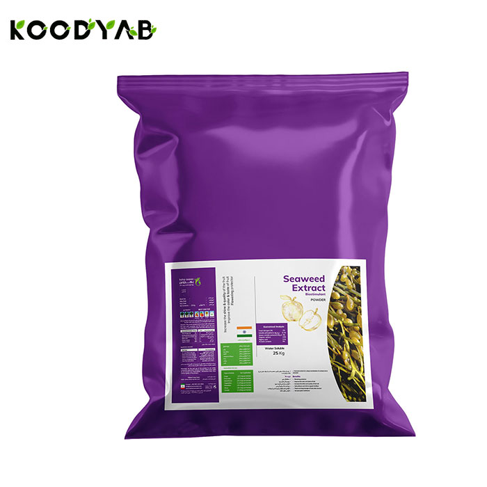 کود عصاره جلبک دریایی ساجد