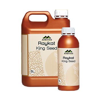 کود رایکت کینگ سید آتلانتیکا