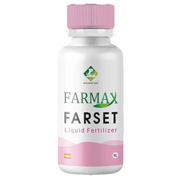 کود فارست فارمکس