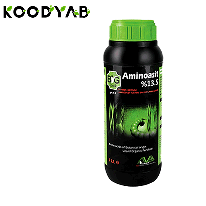 کود بیگ تونیک آواگرو