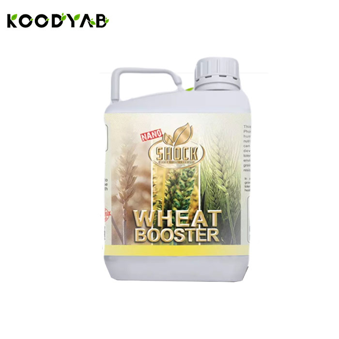 کود مخصوص گندم و جو 5 لیتری شوک