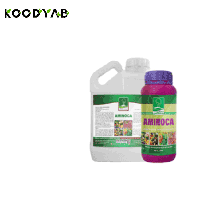 کود آمینوکا به ماکس