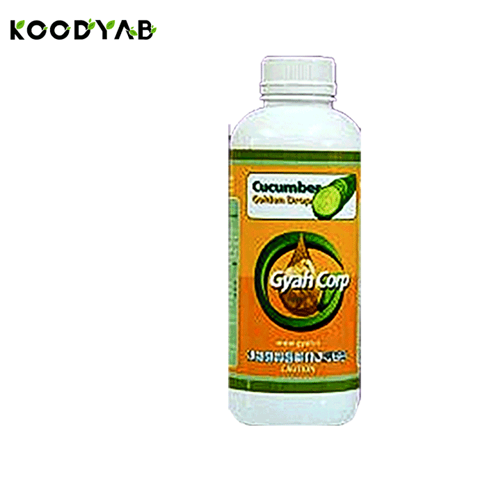 کود قطره طلا  خیار گیاه