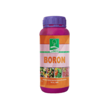 کود بر به ماکس