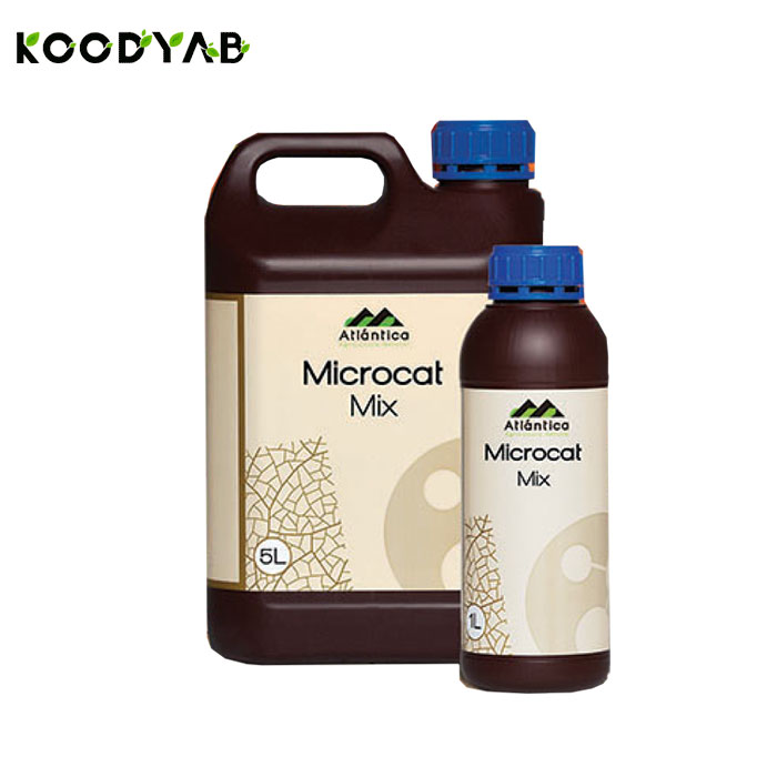 کود میکروکت میکس آتلانتیکا