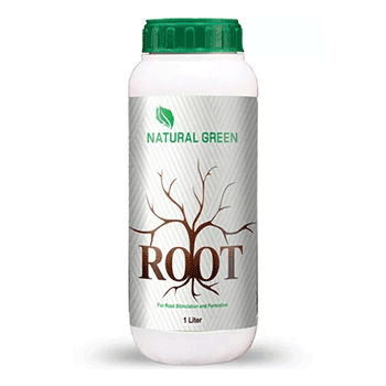 کود روت نیچرال گرین