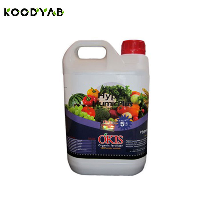 کود هایپر پلاس اکیس