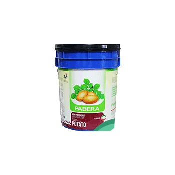 کود پابرا سیب زمینی ترنم سبززاینده رود