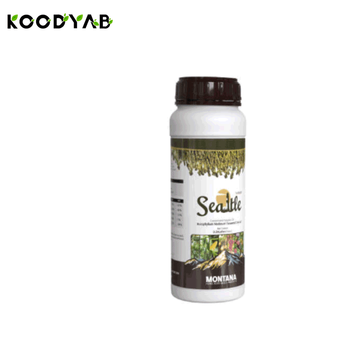 کود سیاتل مونتانا