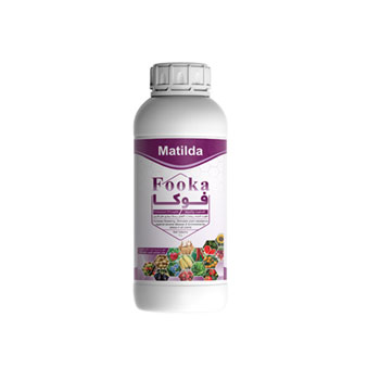 کود فوکا ماتیلدا