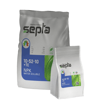 کود   10 52 10 سپتا