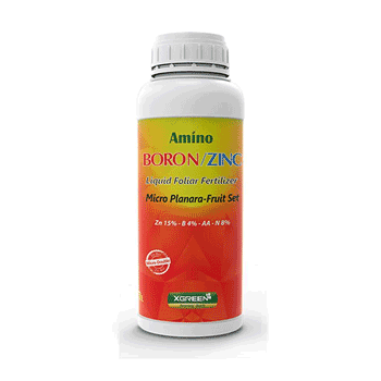 کود آمینو بور زینک ایکس گرین