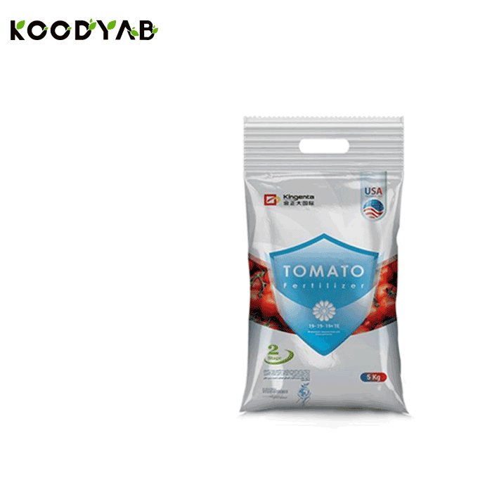 کود 19 19 19 کینجنتا