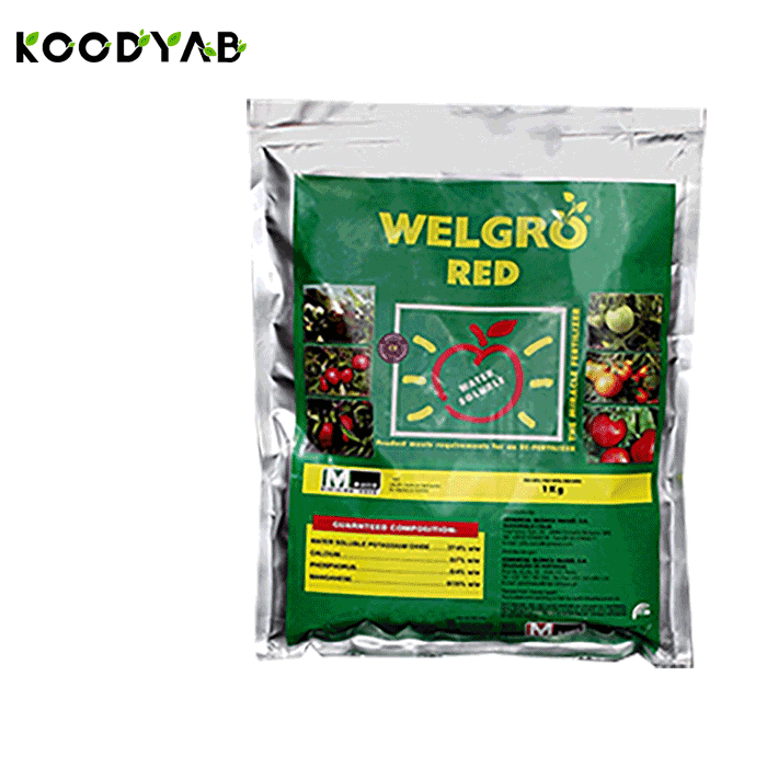 کود ولگرو رد ماسو