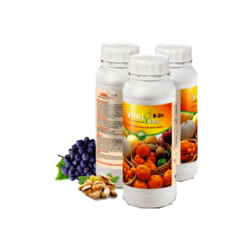 کود ویتال پلاس بر زینک داتیس