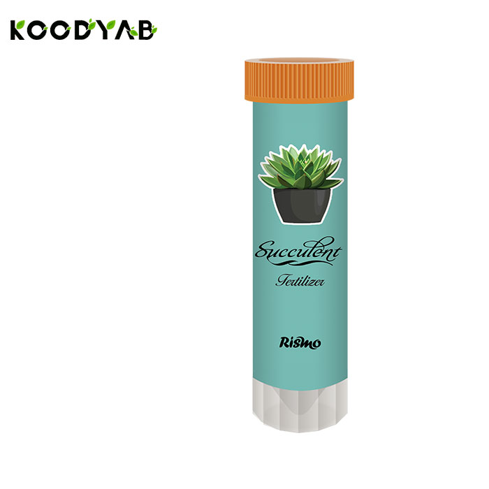 کود ساکولنت ریسو