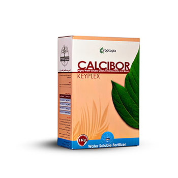 کود کی پلکس کلسی بر راپتوپیا