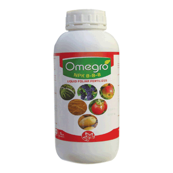 کود 8 8 8 امگرو