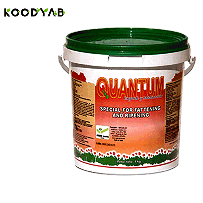 کود کوانتوم مخصوص درشت شدن  میوه اگری نوا