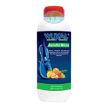 کود آسکوفول میکرو وکسال