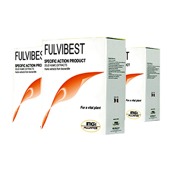 کود فولوی بست آی ام جی