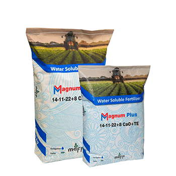 کود مگنوم پلاس ام سی اف پی