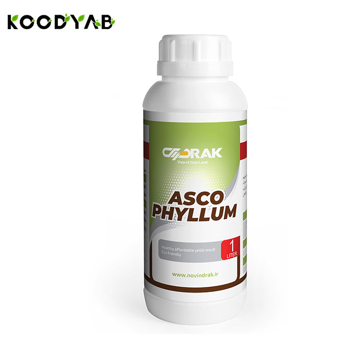 کود آسکو فیلوم نوین دراک