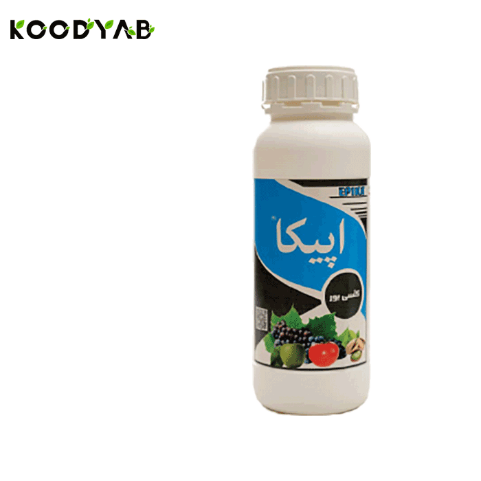 کود کلسی بور اپیکا