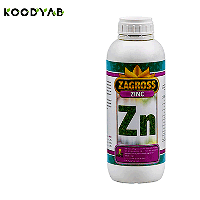 کود روی زاگرس