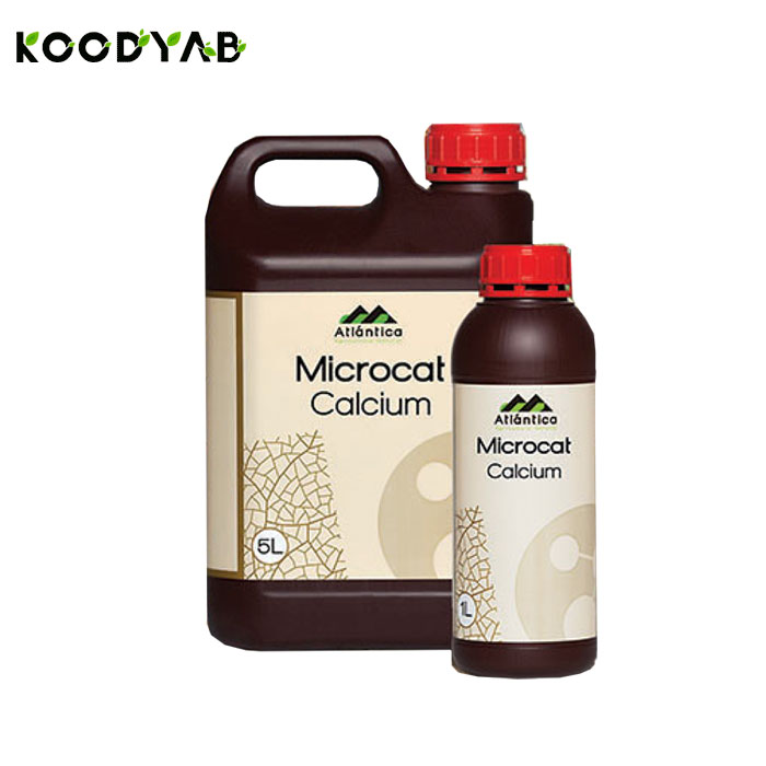 کود کلیک کلسیم آتلانتیکا