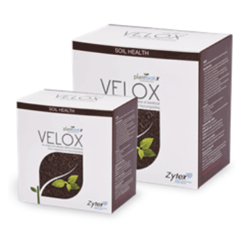 کود ویلوکس زیتکس