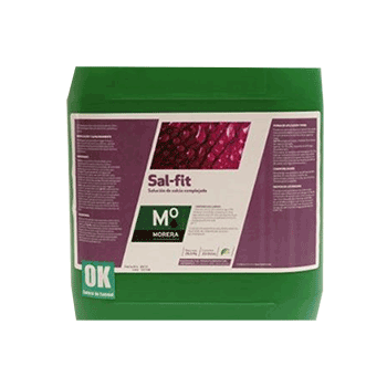 کود سال فیت موررا