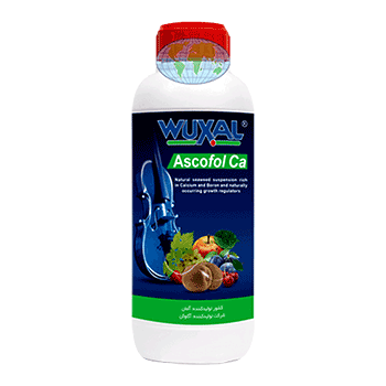 کود آسکوفول کلسیم وکسال