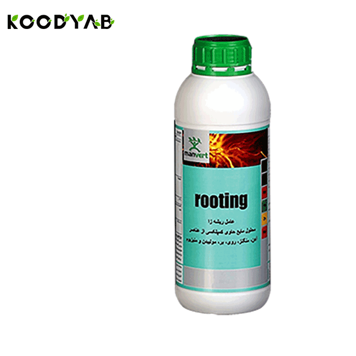 کود روتینگ مانورت