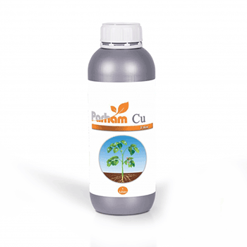 کود مس ۶ پرهام