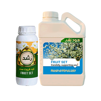 کود فروت ست رشد