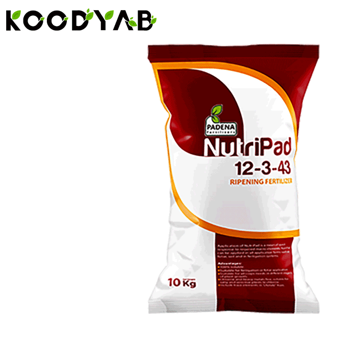 کود 43 3 12 پادنا