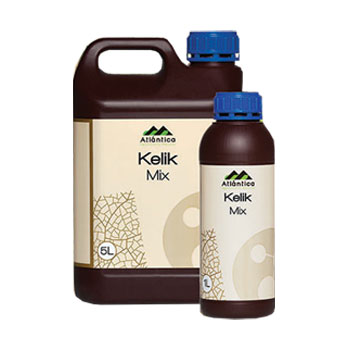 کود کلیک میکس  آتلانتیکا