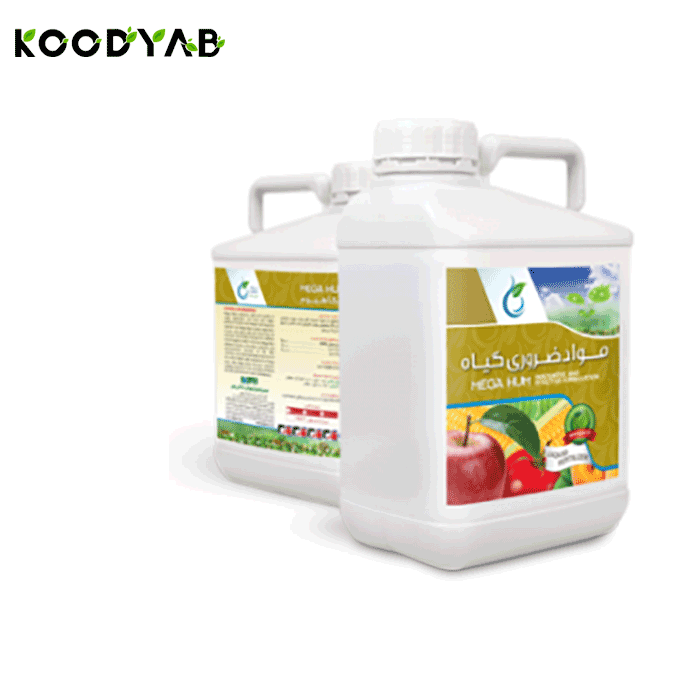 کود مگا هوم داتیس