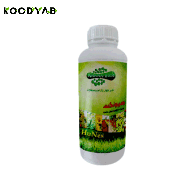 کود هیونکس نهان اکسیر