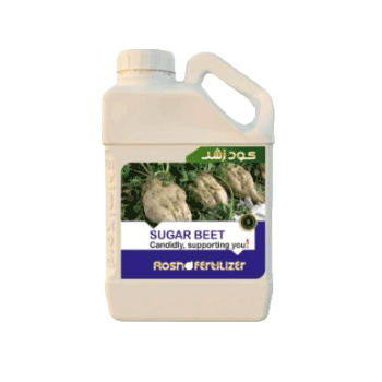 کود چغندرقند رشد