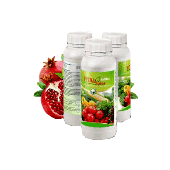 کود ویتال پلاس کلبور داتیس