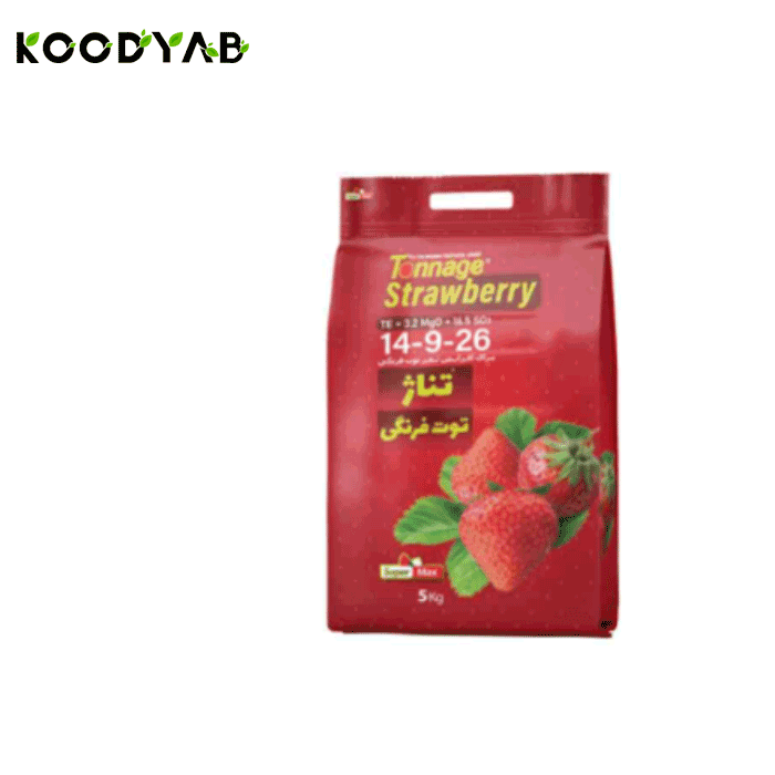 کود توت فرنگی 26 09 14 سوپرمکس