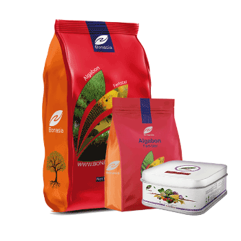 کود آلگابن بن آسیا