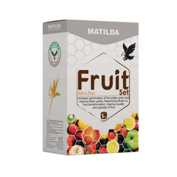 کود فروت ست ماتیلدا